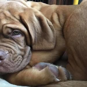 Meet your Posher, Jeni